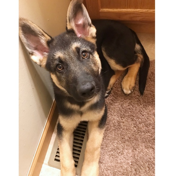 Meet your Posher, Gabe. Follow my IG @re_vent_you - Picture 6 of 6